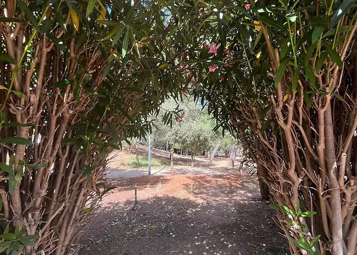 Casa Duarte Carcavelos Apartamento *