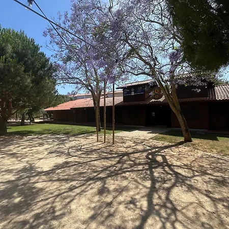 Apartmán Casa Duarte Carcavelos *